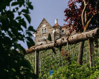 Abb. Schloss Steinburg