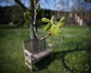 Abb. Nachhaltigkeit in Himmelspforten