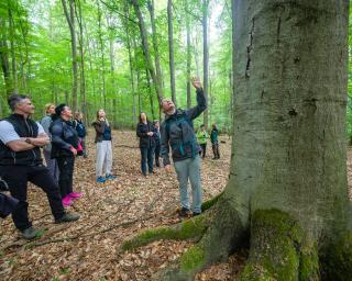 Abb. WaldResort – Am Nationalpark Hainich GmbH