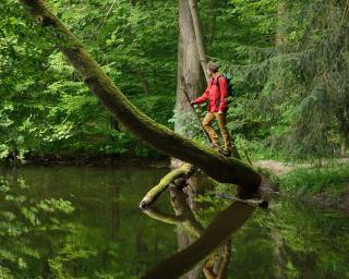 Abb. WaldResort – Am Nationalpark Hainich GmbH 