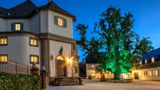 Abb. Schloss Falkenhaus