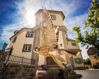 Abb. Schloss Falkenhaus