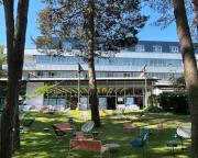 Abb. NEU 2025:  Max Green